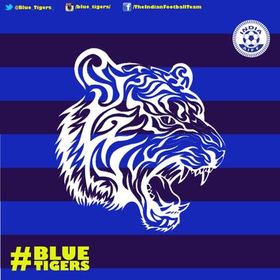blue tigers jersey