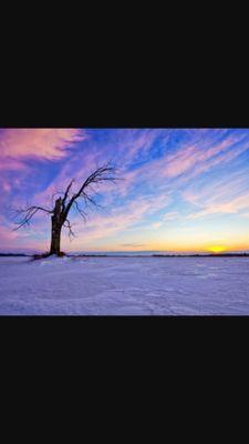 ruvalcaba1977's profile picture. 