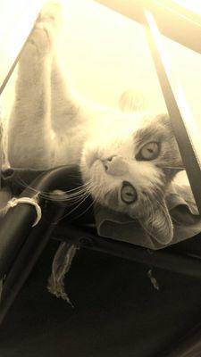 alrome77's profile picture. 3D Character Animator