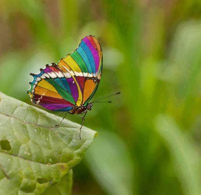 I dream with open eyes, why not? If I could live in dreams world, I would. Love, laugh, cry, feel, music and a long etc