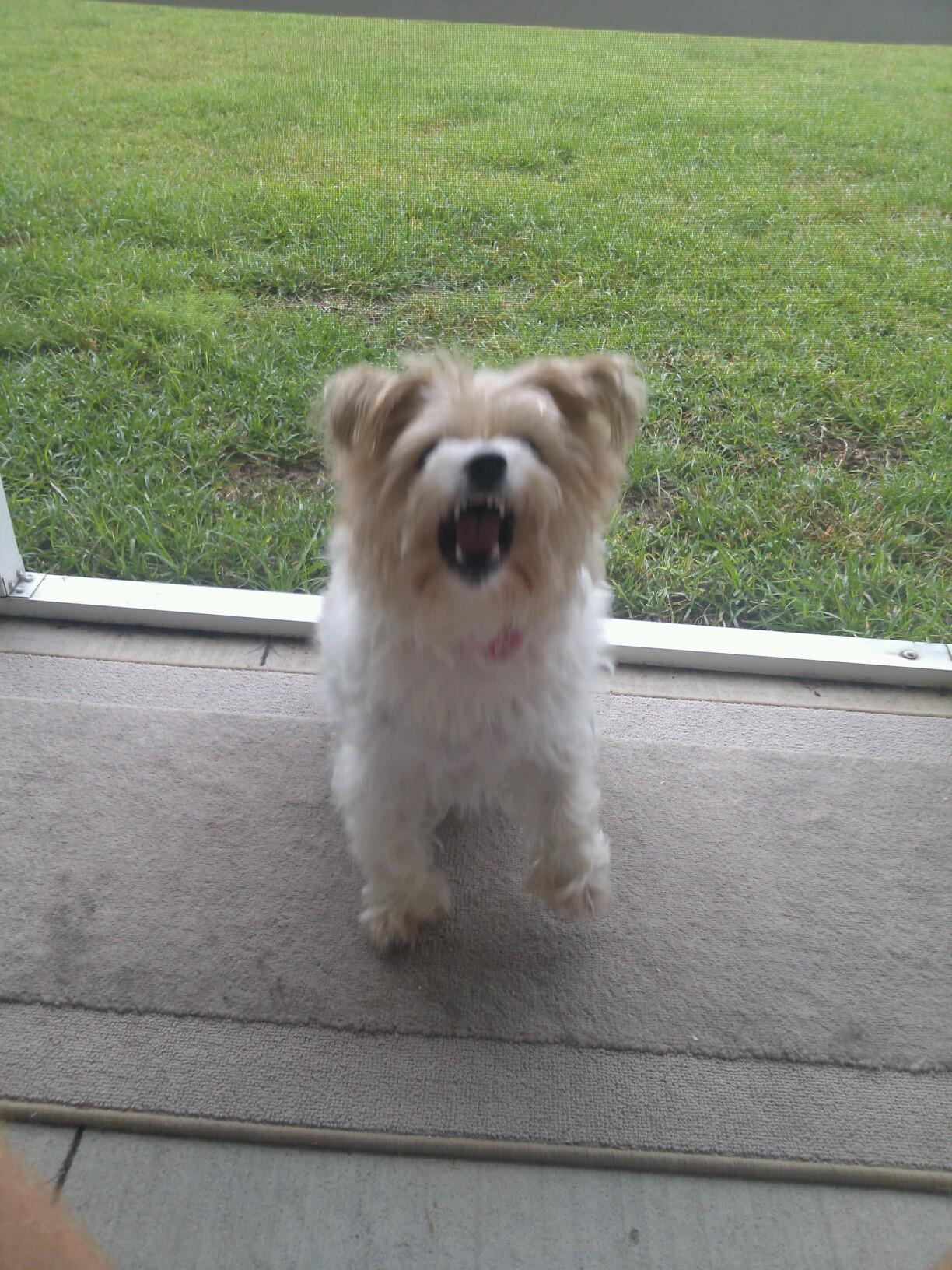 surfsidejeff's profile picture. 