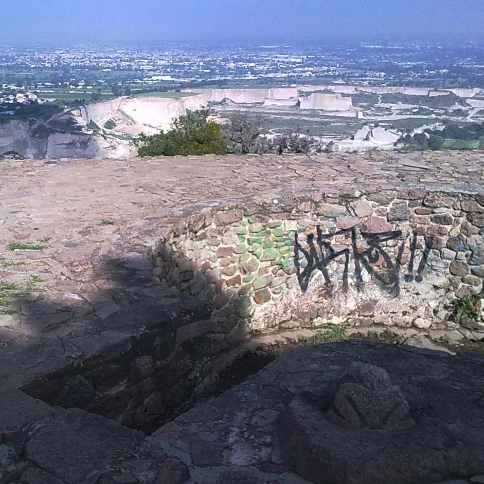 DTexcoco's profile picture. 