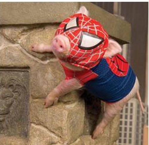 iMandroid2014's profile picture. Mobile Guru / Car Audio Specialist / Music Guru /Phillies Phan