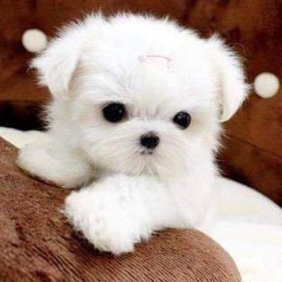 gabiota1976's profile picture. 