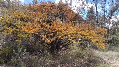 Elpidio_Aguilar's profile picture. L.A.E. interesado en la política, la cultura, el arte, Administracion de Recursos Humanos, Relaciones Laborales, Docencia y la investigacion historica.