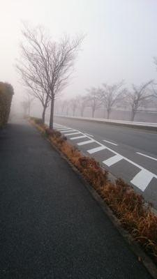 k3821's profile picture. パズドラ ランク502 無言フォロー失礼します ラー、ラードラ 使用 モンストも