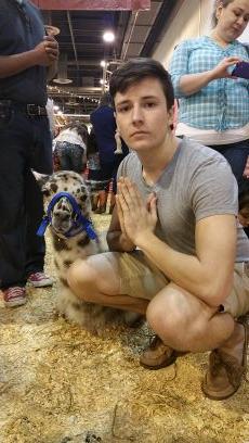 Aaron_Spring_'s profile picture. 