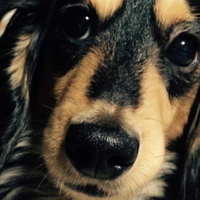 mikan_tvxq's profile picture. 