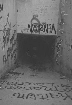 salomon05755214's profile picture. I love ponis