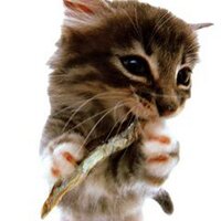 3843 (@3843) 's Twitter Profile