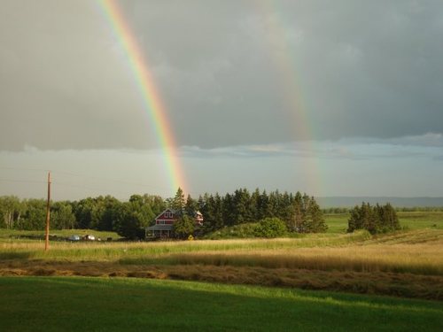 Angel Acres Farm: Where Heaven Meats Earth.  Mason, Wis.
