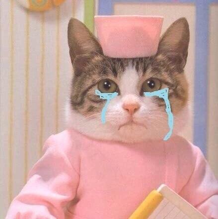 alexandrChmo's profile picture. ну да вот так