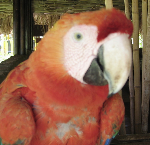 smishaan's profile picture. 