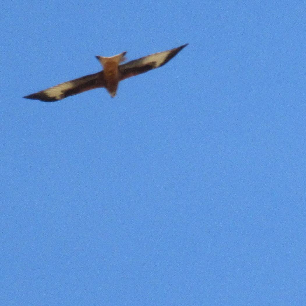 vonVilchez's profile picture. 