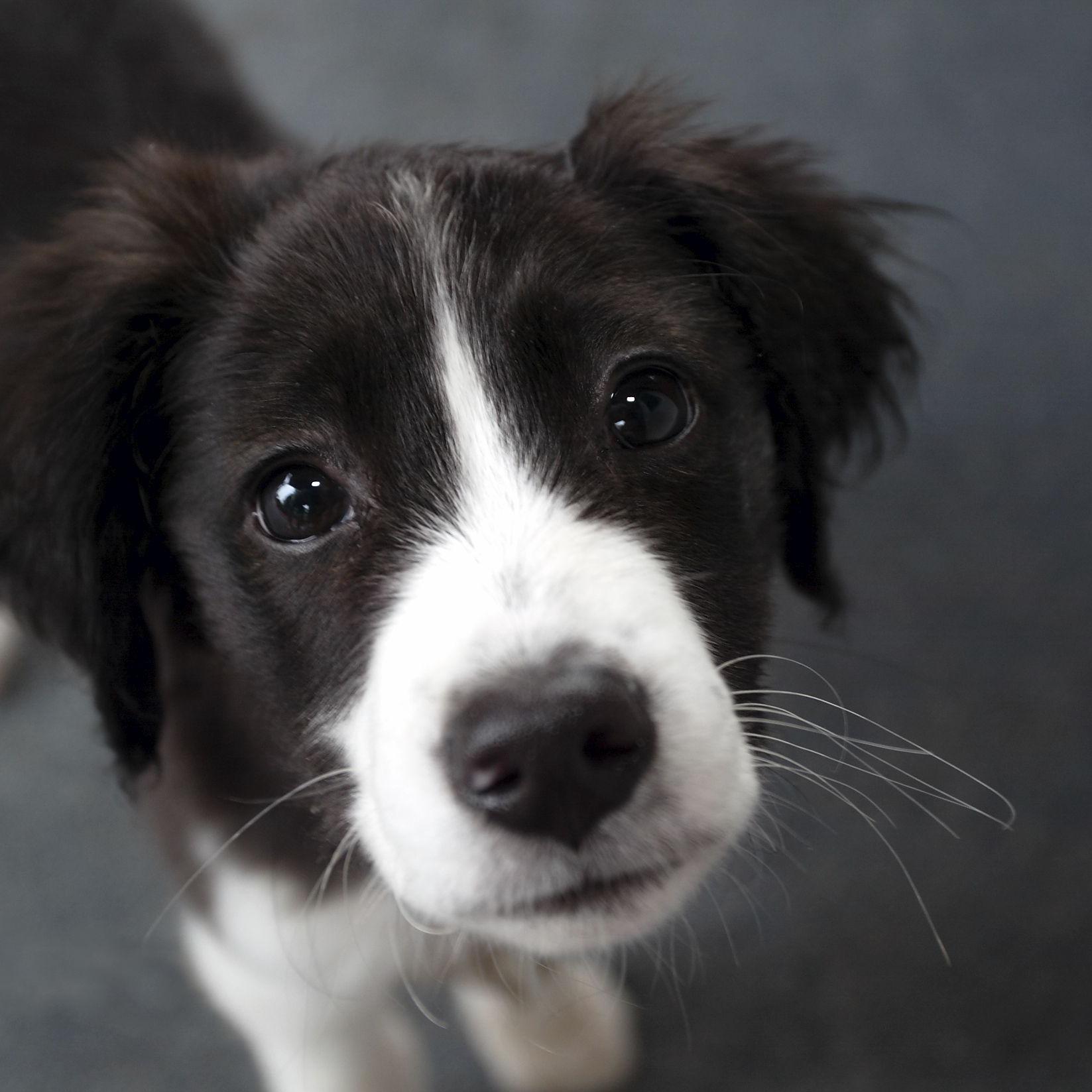 cc6023ITS's profile picture. Web Publishing ITS1