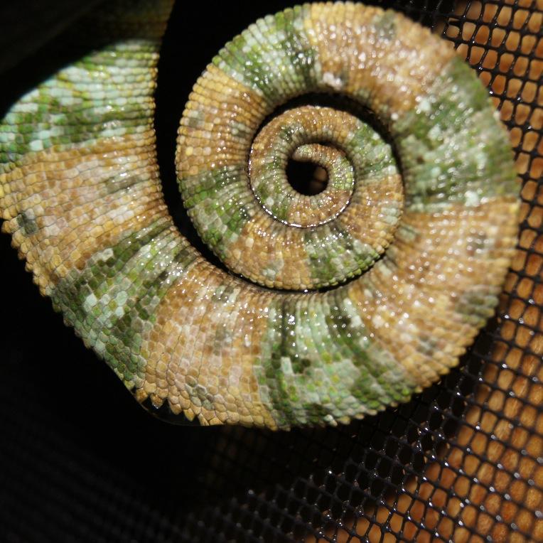 _chamlover_'s profile picture. 