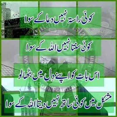 hussain97_m's profile picture. 