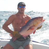 martin newton (@martin__newton) 's Twitter Profile Photo