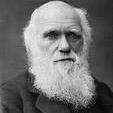 charlesdarwin02's profile picture. 