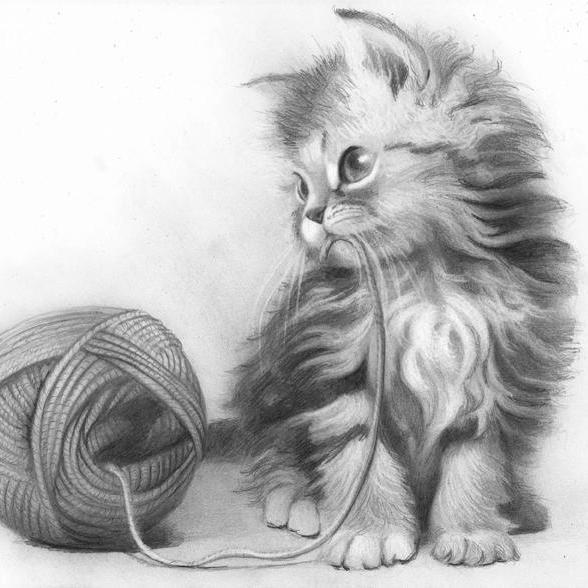 In_Goyangi's profile picture. Art is...