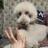 minbo15's profile image