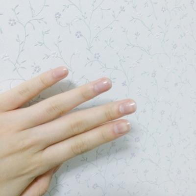 modulation__'s profile picture. ここで転調