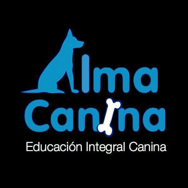 Educación Integral Canina más de 20 años de experiencia Adiestramiento a domicilio Grupos de trabajo Terapia asistida con perros 654 134894