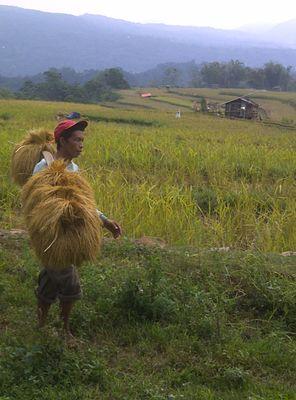 ac23b3cc8ea0475's profile picture. 