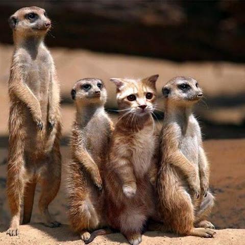 La vida es aprendizaje, cuando dejes de aprender, mueres.