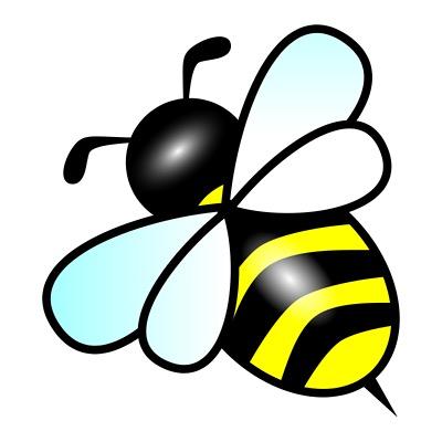 2日間でBeebetをどのように治したかをご覧ください