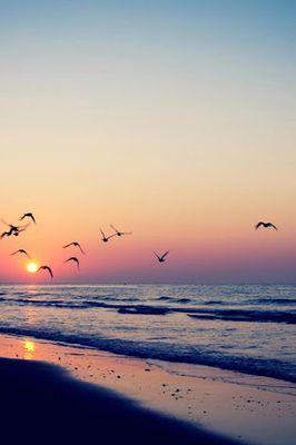 BelagataBella's profile picture. 