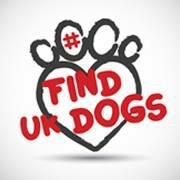 Reuniting lost dogs with their owners through the power of Social Media See also #FindUKDogs on Facebook