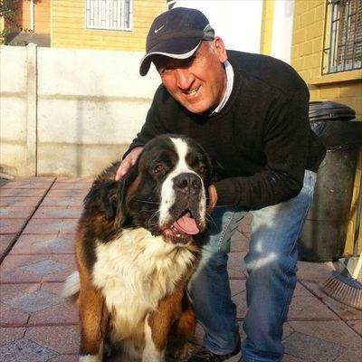 GaticaTio's profile picture. 