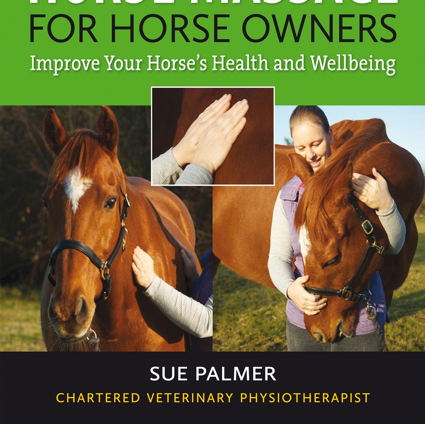 Chartered Physiotherapist, BHSAI and Equine Behaviourist - Understanding Horse Performance: Brain, Pain or Training?