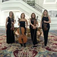 mousa string quartet (@mousaquartet) 's Twitter Profile