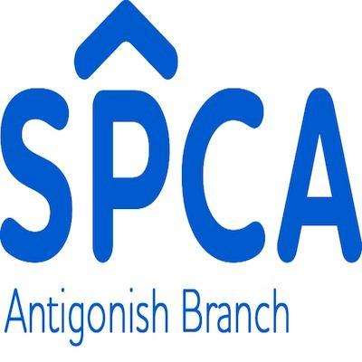 Foster branch of the Nova Scotia SPCA dedicated to preventing animal cruelty and promoting respect and humane care for animals. Proudly no kill.