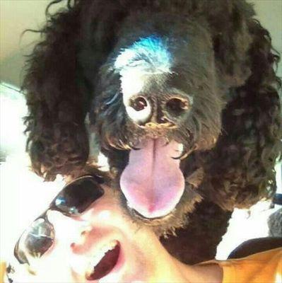 hnstCanadian's profile picture. Family, trucks, loud music, country living! Vol Fire Fighter. Go Bronco's!
Any opinion expressed are mine and not reflective of my employer