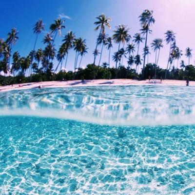 GomezOwnMyHeart's profile picture. bands forever