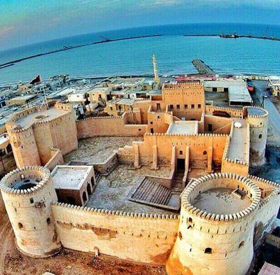 yptyS1Sfdp2NoqR's profile picture. 