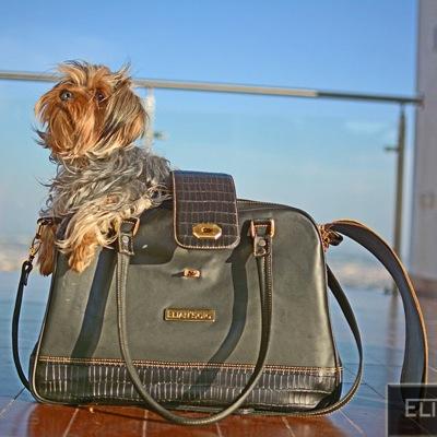 We are a fashion brand specialized on pet carriers and accessories for your pooch