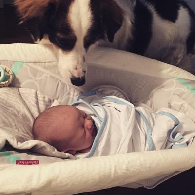 bbensten's profile picture. 