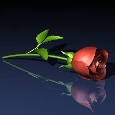 KskSaahil's profile picture. 