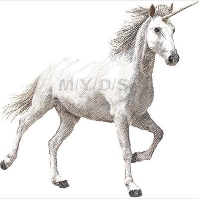 ghhcc8855's profile picture. あと垢が3つ残ってます。値段は交渉でiTunesカードのみの支払いです。DMでお待ちしてます。モンストの自演もできます。勿論実績あります。