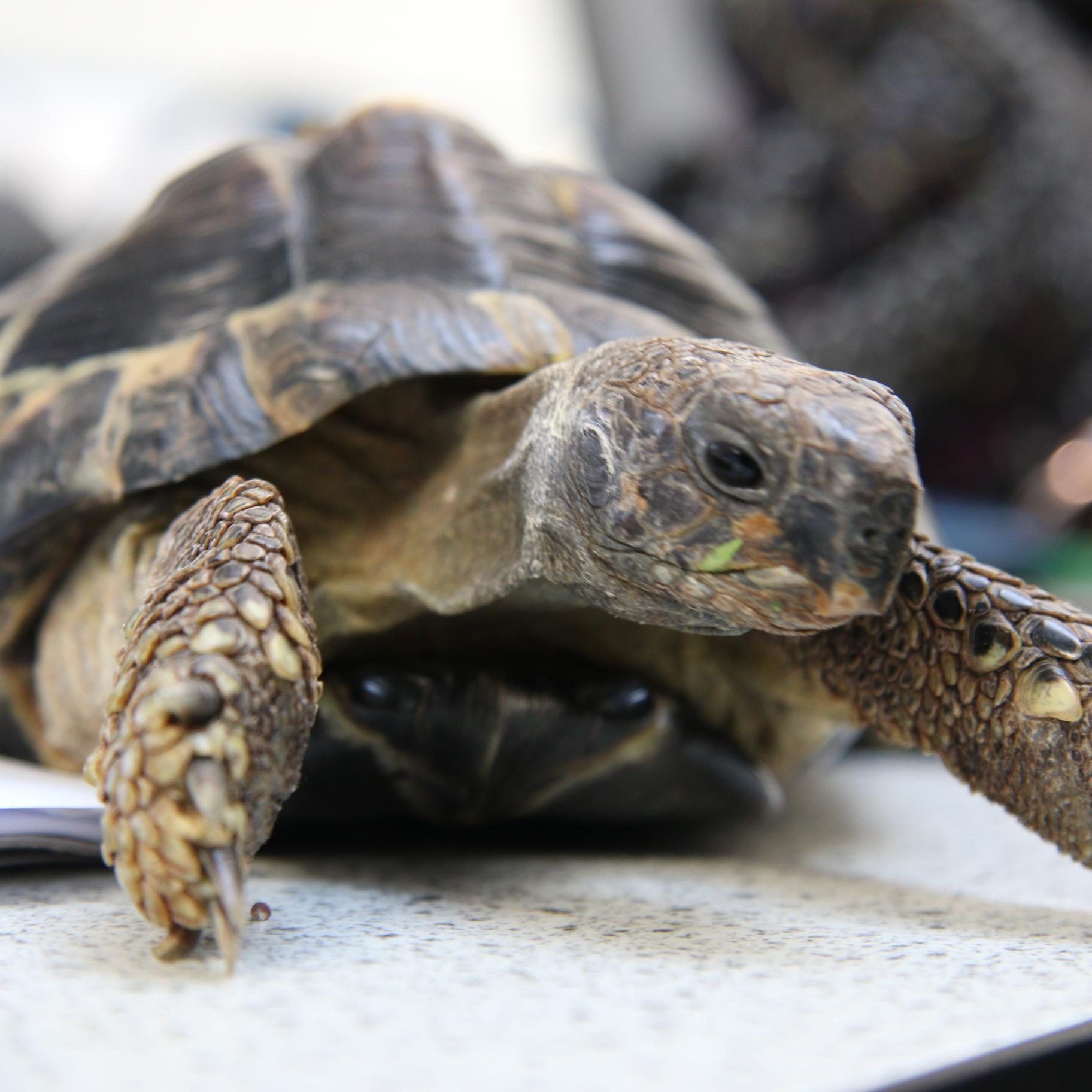 LWS_FoodTech's profile picture. 