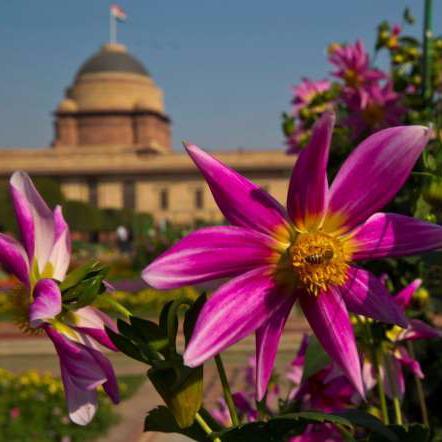 deepak23970595's profile picture. 