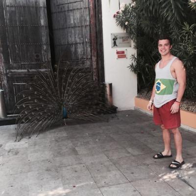 zweiss3053's profile picture. KSU | Our greatest glory is not in never falling, but in rising every time we fall.