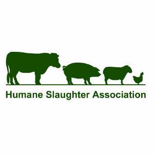 The Humane Slaughter Association. Improving the welfare of food animals during transport and slaughter worldwide. Follows, RTs, favs are not endorsements.