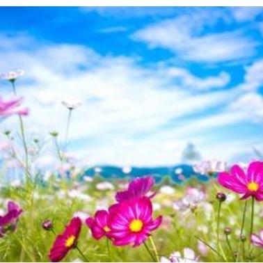 smiling_sarah's profile picture. 