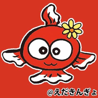 えだきんぎょ Edakingyochan Twitter