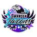Swansea Falcons (@swanseafalcons) Twitter profile photo Swansea Falcons (@swanseafalcons) Twitter profile photo